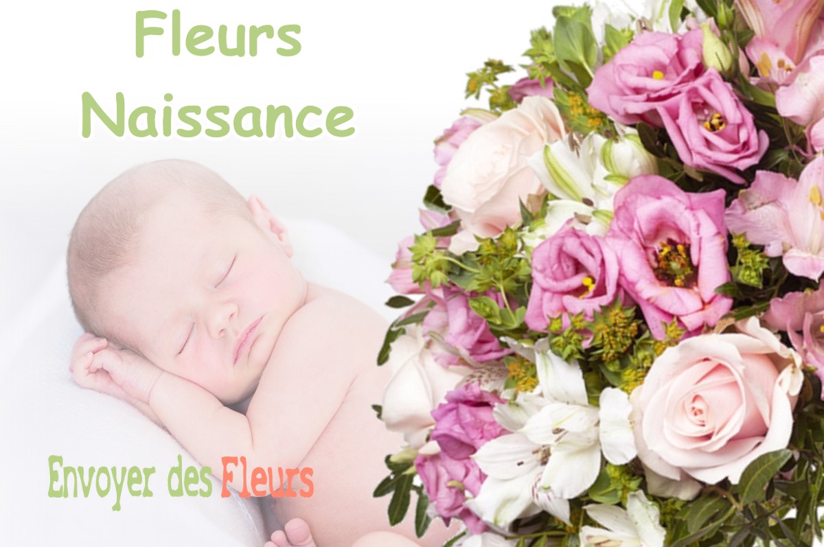 lIVRAISON FLEURS NAISSANCE à PECHBONNIEU